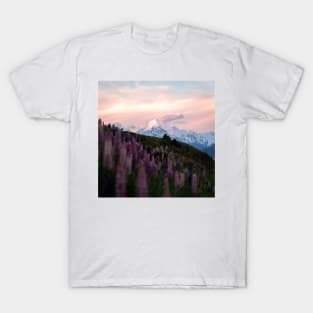 Mountain Mt. Cook with Purple Lupin Flowers During Sunset T-Shirt